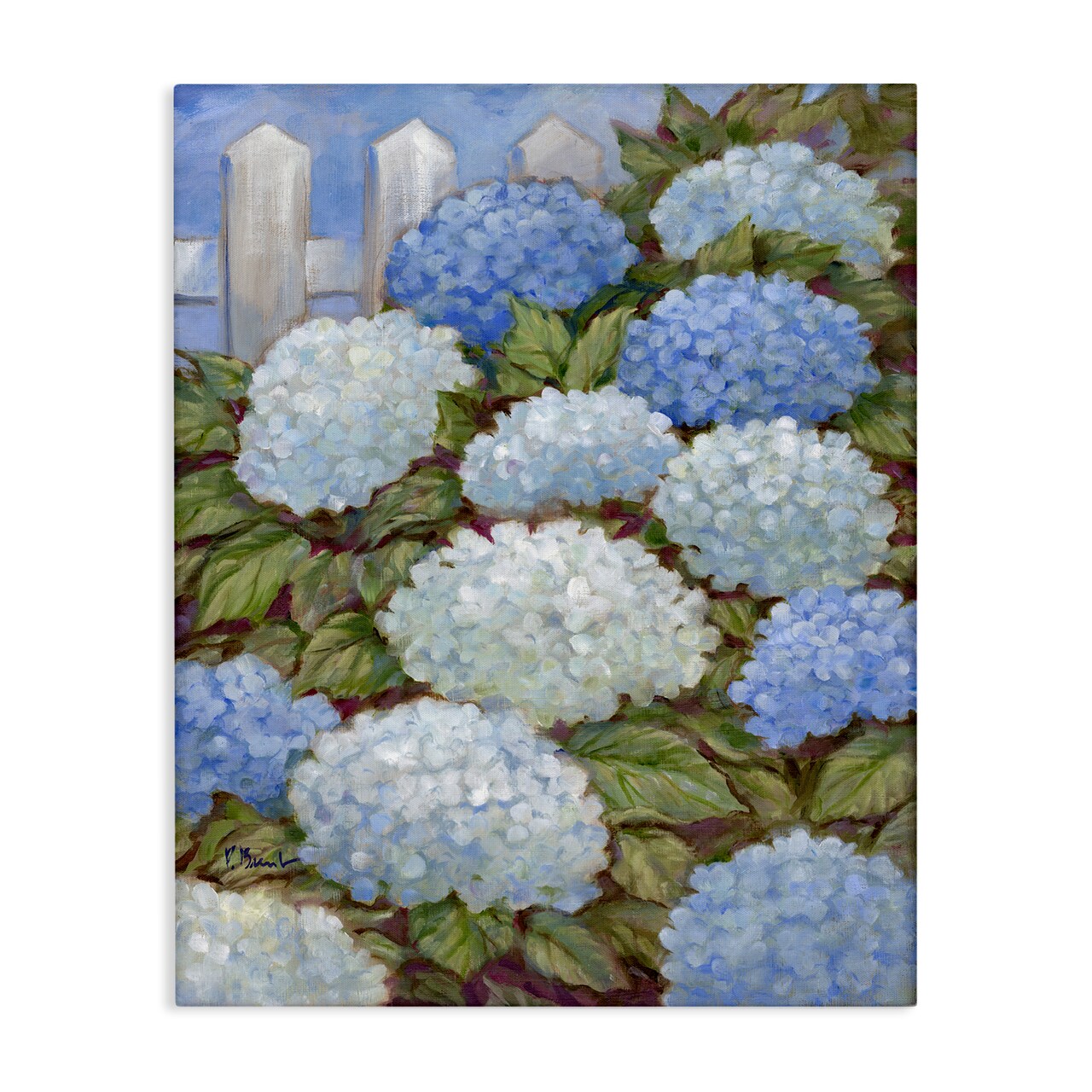 Stupell Industries Blue & White Hydrangea Canvas Wall Art Design by Paul Brent